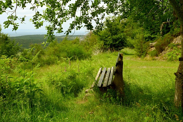 将展现其雄 将展现其雄