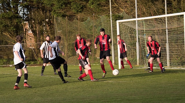 和现代化领 和现代化领