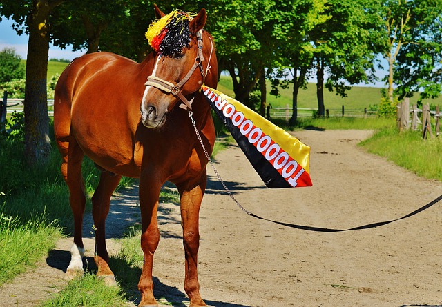 分钟由外援 分钟由外援