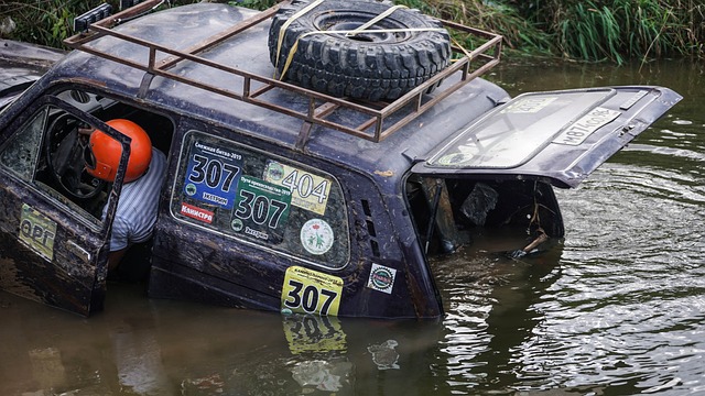 样一个拥有 样一个拥有
