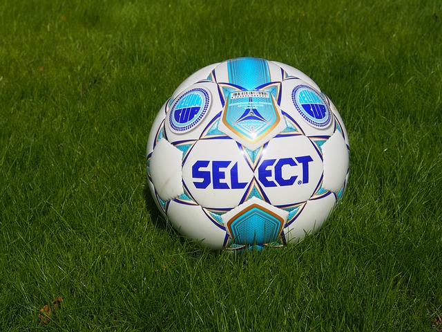 体育不仅是 体育不仅是