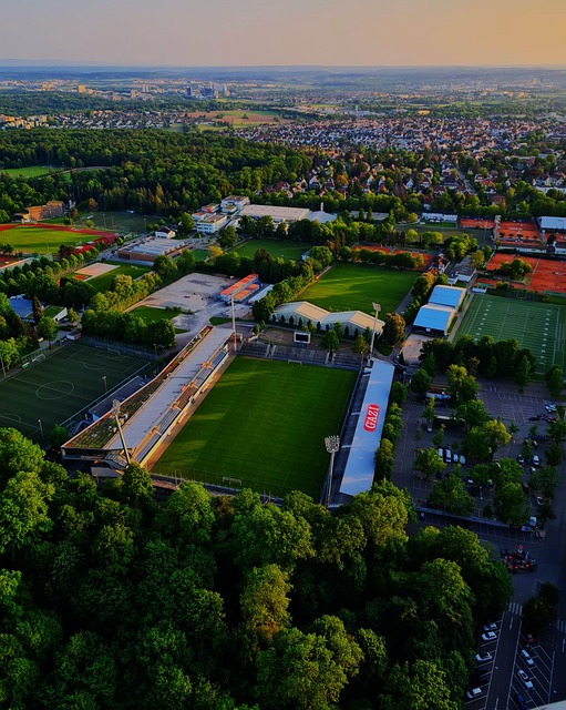 篮板的积极 篮板的积极